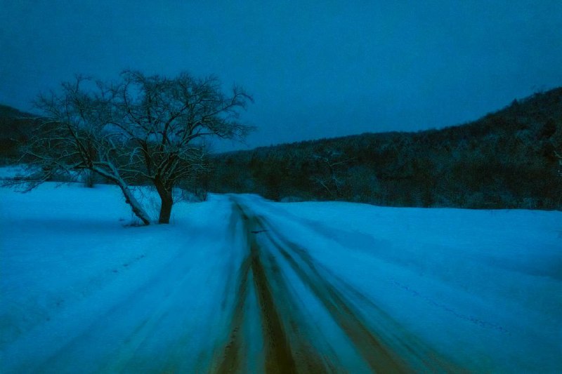 Иллюстрация 2