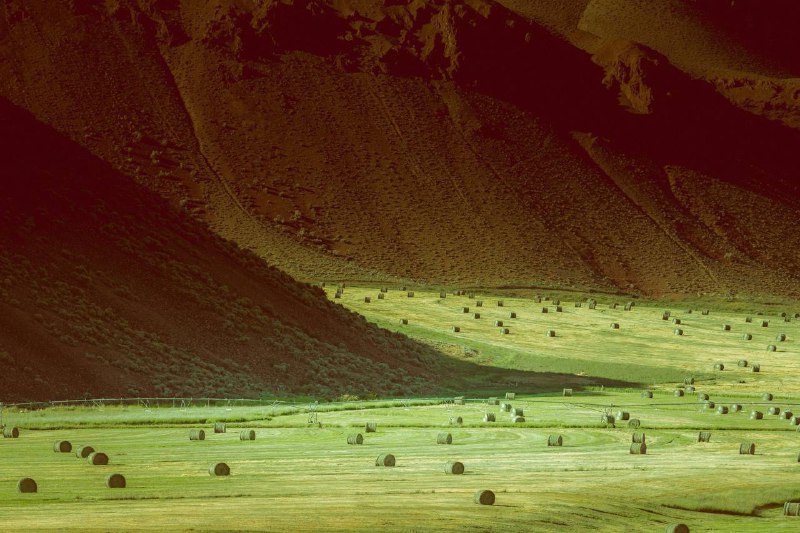 Иллюстрация 7