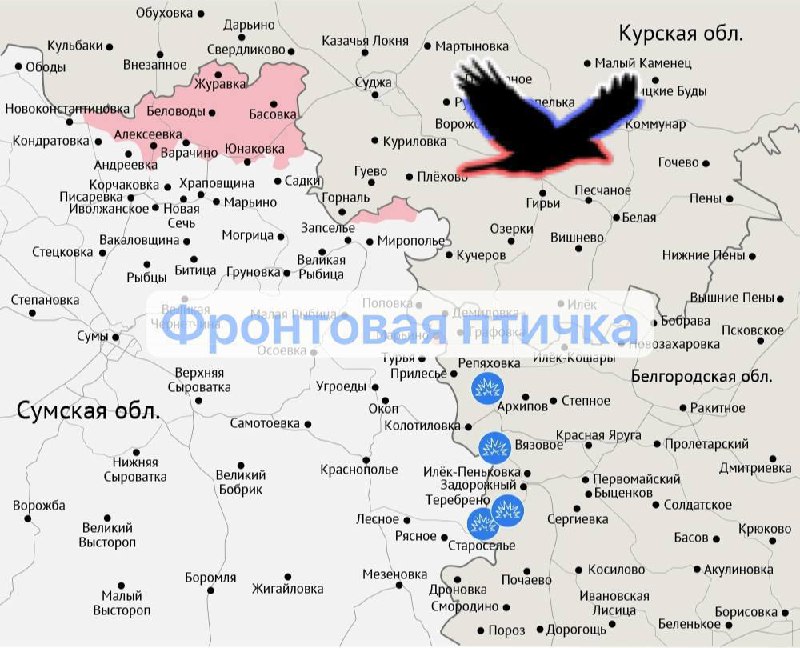 Наступление российских войск на Сумском направлении