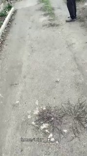 Иллюстрация 2