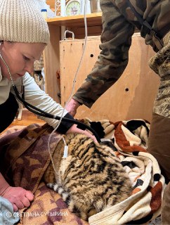 Иллюстрация 3