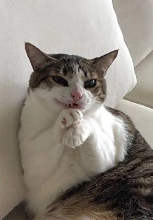 Иллюстрация 4