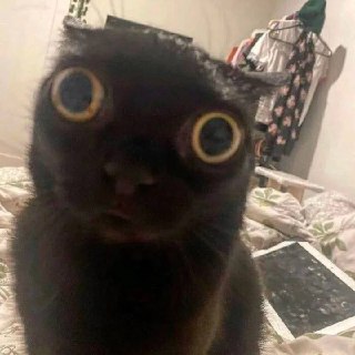 Иллюстрация 5