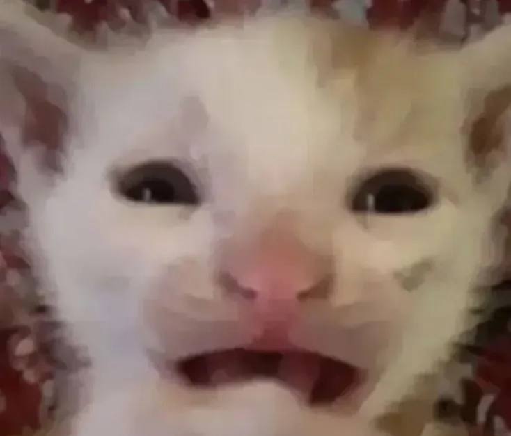 Иллюстрация 7