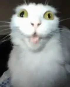 Иллюстрация 8