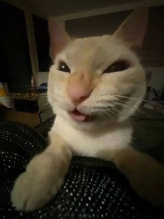 Иллюстрация 1