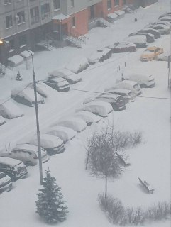 В Москве выпала половина месячной нормы осадков