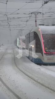 Иллюстрация 1