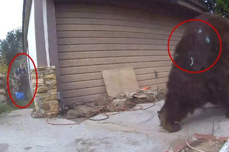 Иллюстрация 2