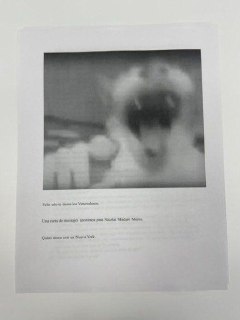 Иллюстрация 1