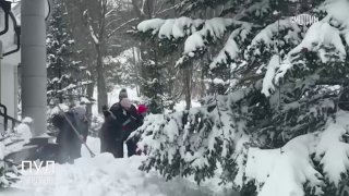 Лукашенко взял лопату в Минске из-за снегопада