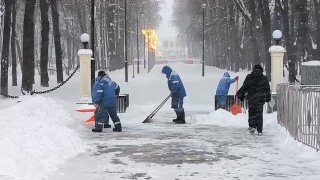 Иллюстрация 1