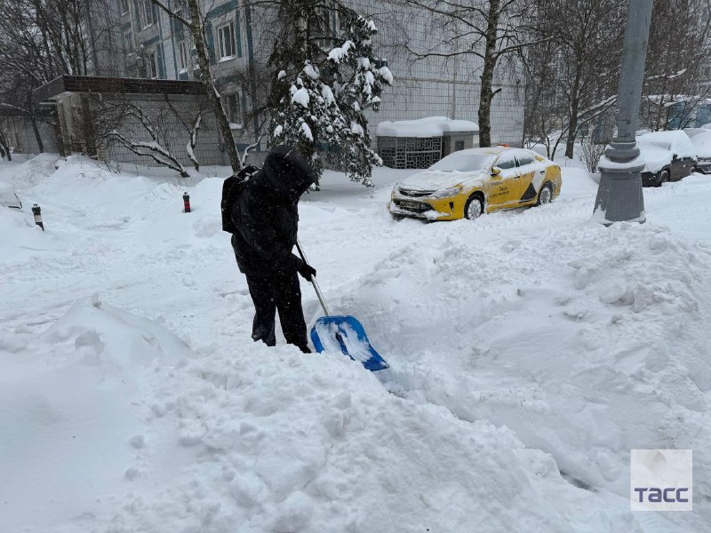 Иллюстрация 6