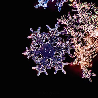 Иллюстрация 4