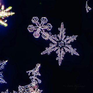 Иллюстрация 5