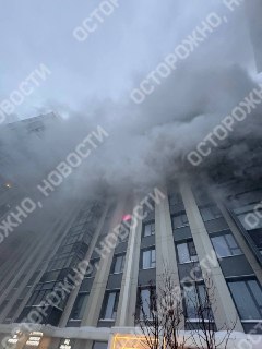 Иллюстрация 1