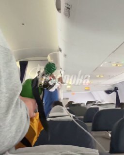 Иллюстрация 1