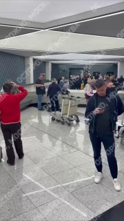 В Шереметьево пассажирам предлагают доставку багажа на дом