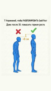 Упражнения для улучшения осанки