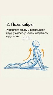 Иллюстрация 2