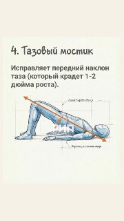 Иллюстрация 4