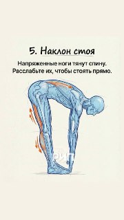 Иллюстрация 5