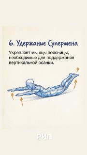 Иллюстрация 6