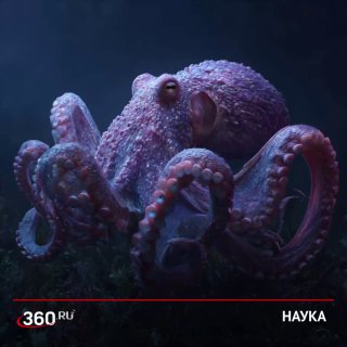 Ученые создали «синтетическую кожу», меняющую внешний вид