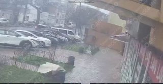 Отлов скакуна и уклонистов