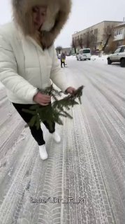 Иллюстрация 3