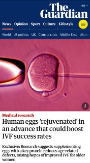 Ученые нашли способ "омолодить" яйцеклетки и повысить шансы ЭКО
