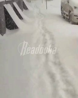 Иллюстрация 2