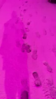 Иллюстрация 5