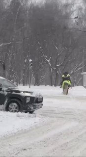 В Москве на патрулирование выехала конная полиция из-за сильного снегопада