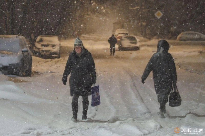Снегопад в Петербурге