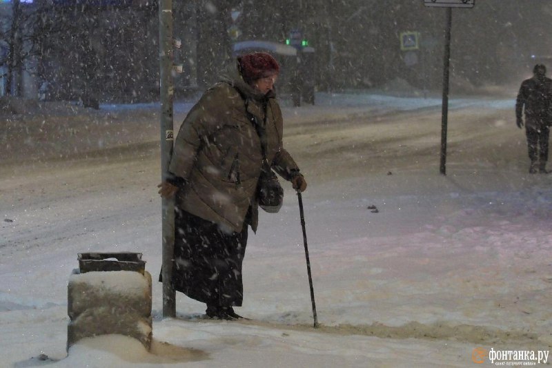 Иллюстрация 5