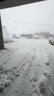 Иллюстрация 4