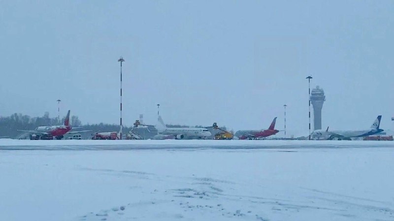 Иллюстрация 1