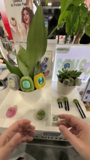 Представлен тамагочи для комнатных растений