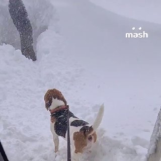 Жители Камчатки выбирались из домов через окна из-за снегопадов