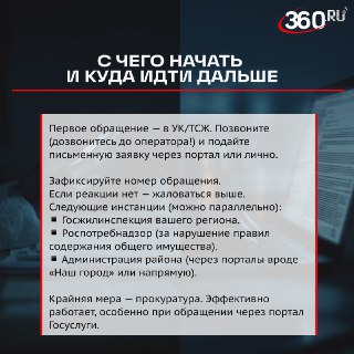 Иллюстрация 2