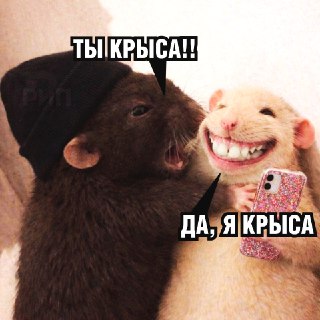 Сплетни полезны для здоровья, утверждают психологи