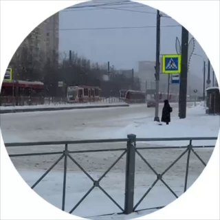 Пробка из трамваев на проспекте Просвещения в Санкт-Петербурге