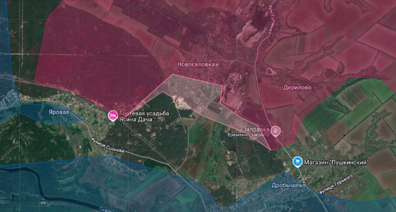 Отряд Ковпака заявил об освобождении Новосёловки