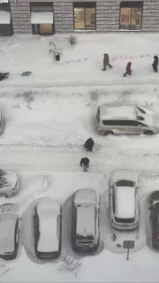 Иллюстрация 2