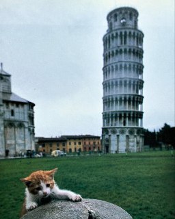 Иллюстрация 3