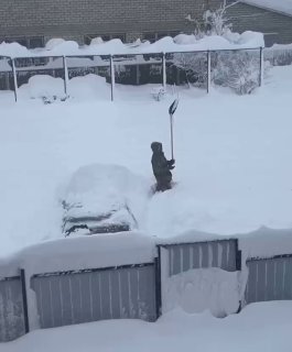 Жалобы москвичей на сугробы