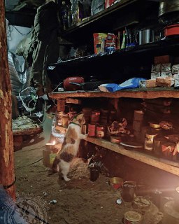 Иллюстрация 1