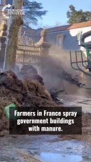 Иллюстрация 5