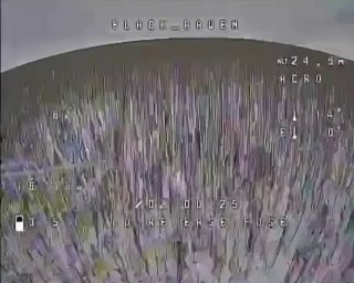 Новогодние олени против дронов на фронте